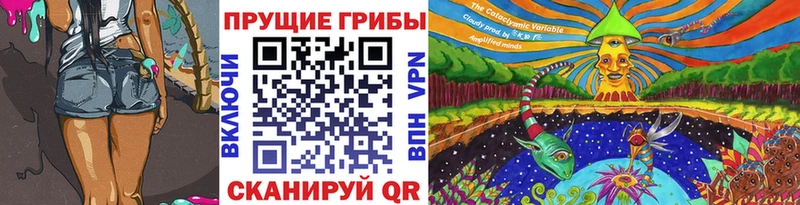 дарнет шоп  Северобайкальск  Галлюциногенные грибы мухоморы 